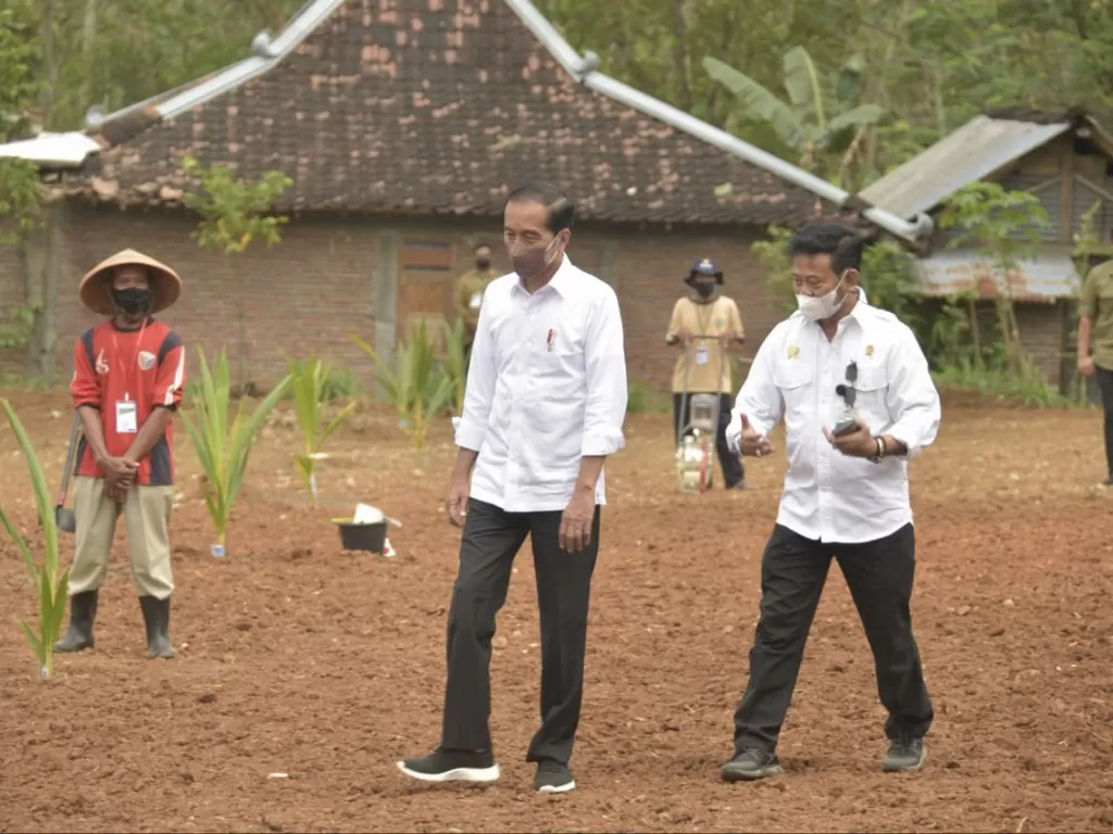 Presiden Jokowi (kiri) Menteri Pertanian Syahrul Yasin Limpo (kanan) (Istimewa)