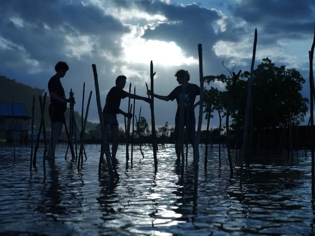 Ilustrasi - Tiga orang warga negara asing perwakilan natureVolution Indonesia menanam pohon mangrove di areal Pesisir Tolitoli di Desa Wawobungi, Lalonggasu Meeto, Konawe, Sulawesi Tenggara, Jumat (29/7/2022). (ANTARA/Jojon)