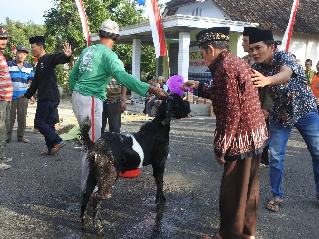 Penyembelihan kambing kendit di Dusun Ngrawan, Madiun. (Ronaa Nisa’us Sholikhah/Z Cretaors)