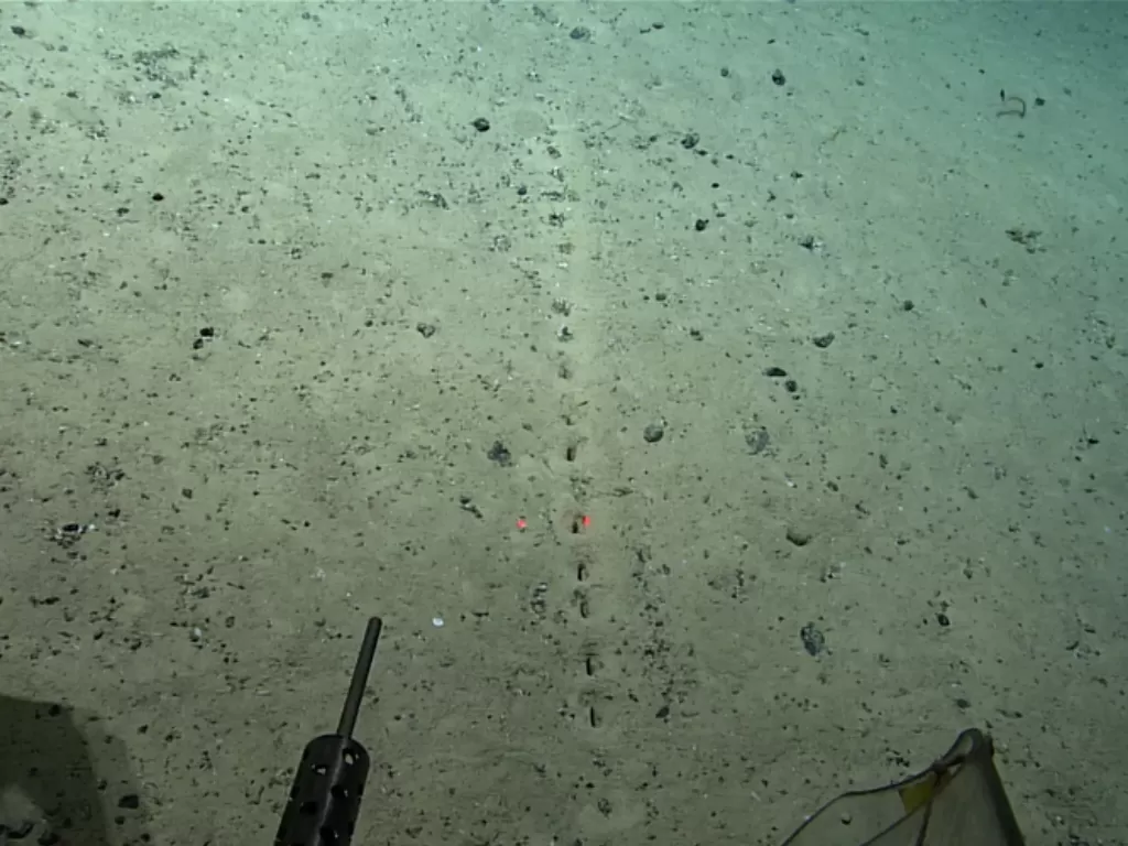 Photo sebuah lubang misterius di dasar samudra Atlantik. (Dok. NOOA)
