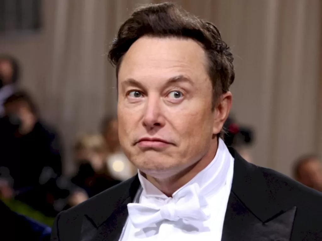 CEO Tesla Elon Musk. (REUTERS/Andrew Kelly)