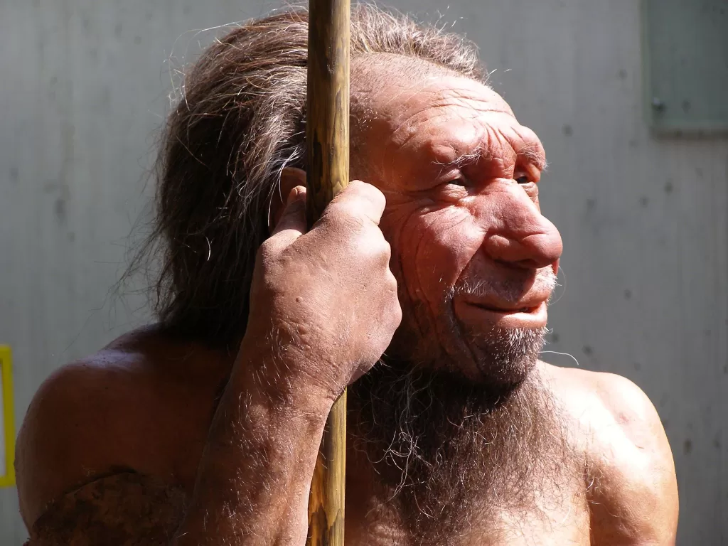 Ilustrasi Neanderthal. (Treehugger)