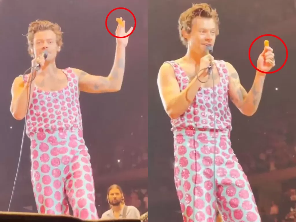 Harry Styles dilempat nugget ayam oleh penonton saat lagi konser, reaksinya ngelawak. (tiktok/@lt.hs.hq)