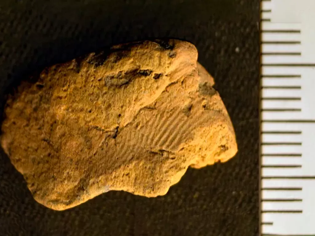 Temuan sidik jari kuno pertama yang tercatat di situs arkeologi Ness of Brodgar Jan Blatchford (smithsonianmag)