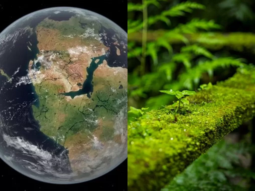 Kiri: Ilustrasi Bumi. (National Geographic)/ Kanan: Ilustrasi tanaman darat. (National Geographic)