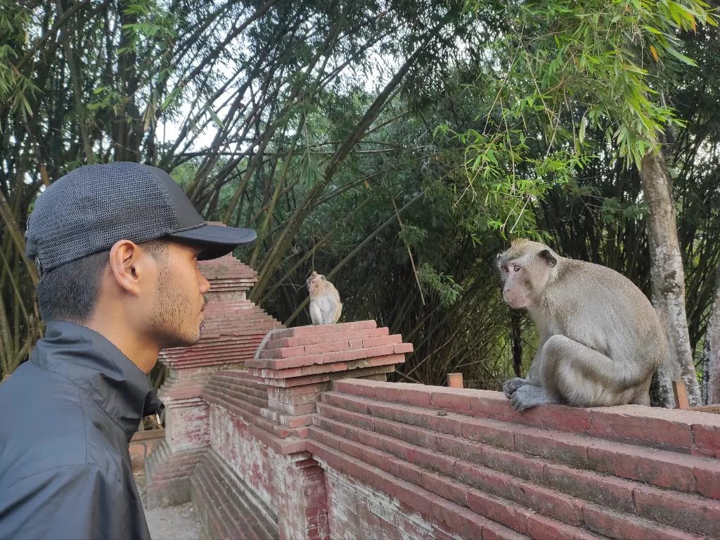 Wisata gratis berinteraksi dengan monyet liar (Z Creators/Rizqi Taufikul)