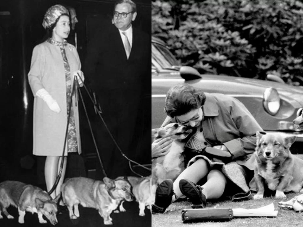 Momen Ratu Elizabeth II bersama dengan anjing-anjingnya. (Instagram/@theroyalfamily)