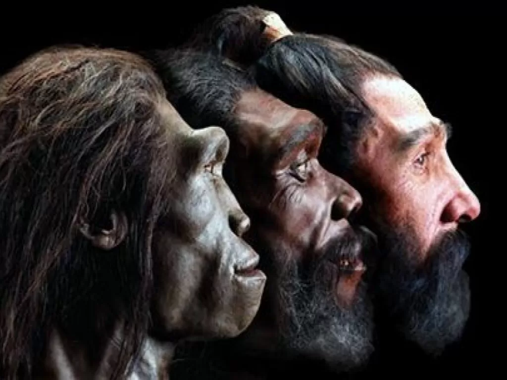 Ilustrasi penelitian mengenai asal-usul manusia. (National Geographic)