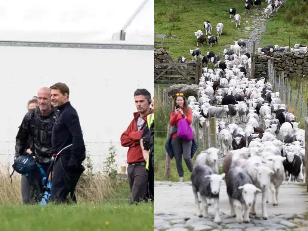 Ratusan domba serbu lokasi syuting Mission: Impossible 8 (splashnews.com)