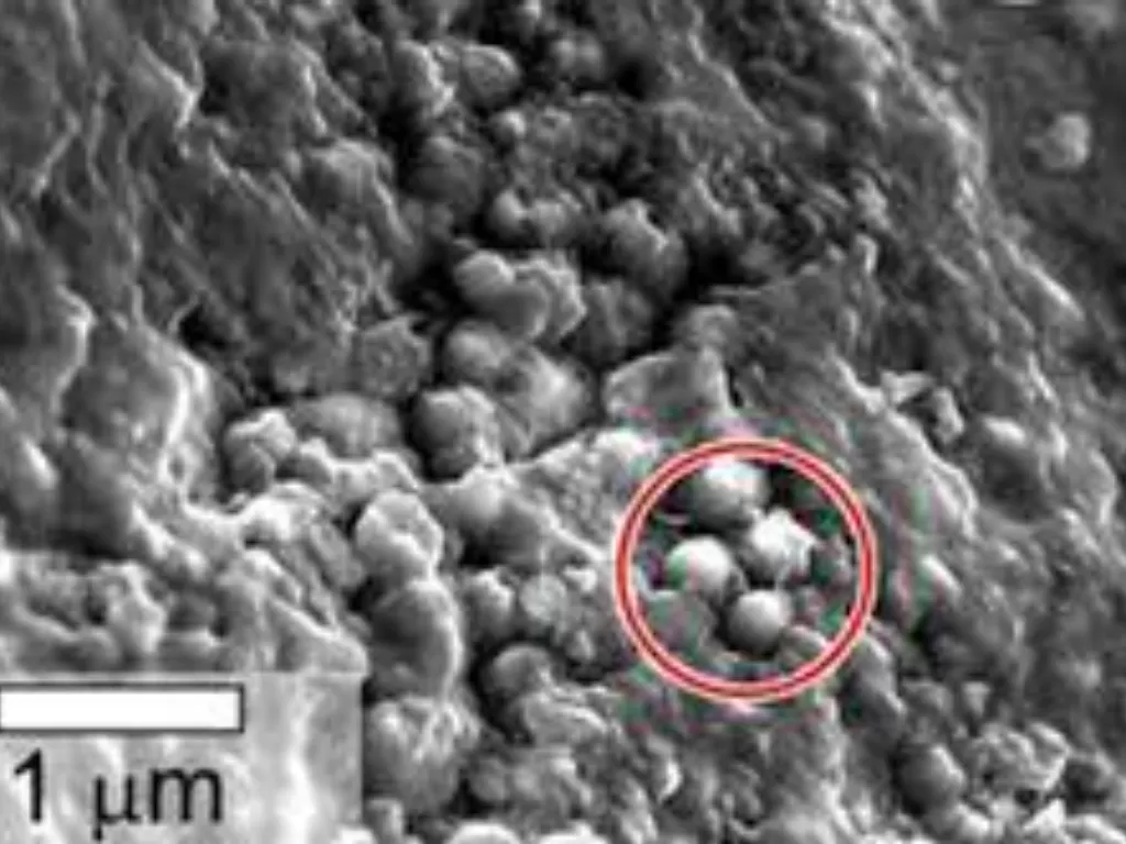  Ilmuwan NASA Menemukan Bukti Air di Meteorit (Nasa)