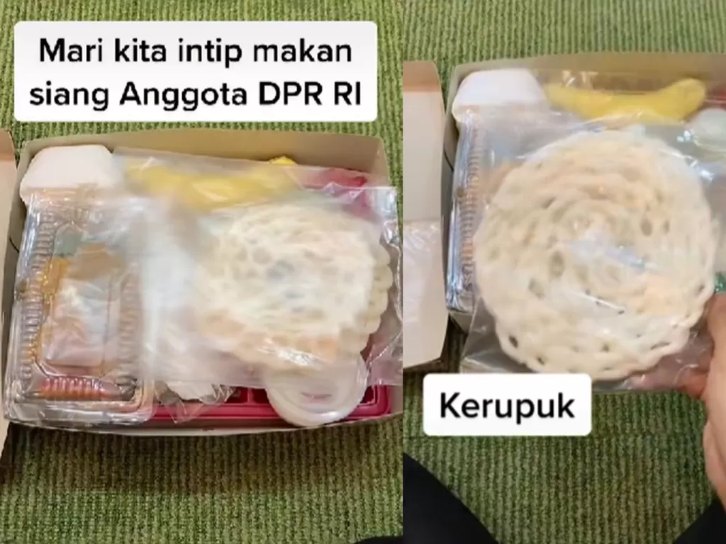 Nasi kotak untuk makan siang anggota DPR RI (TikTok/kerabatrakyat)