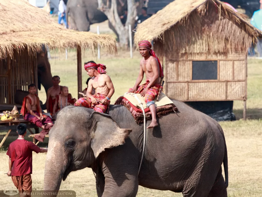 Ilustrasi gajah di Thailand. (Elephanthills)