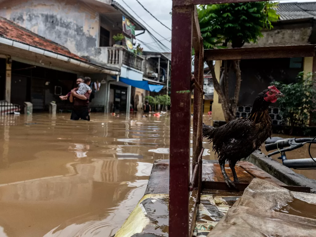 Warga berjalan melintasi banjir di permukiman penduduk kawasan Rawajati, Jakarta, Senin (10/10/2022). (ANTARA/Aprillio Akbar)