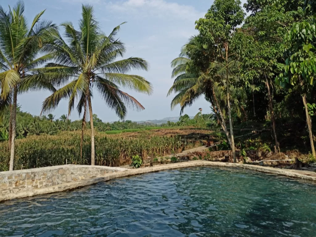 Kolam renang alami dengan view ala di Bali (Z Creators/Galih Prihantoro)