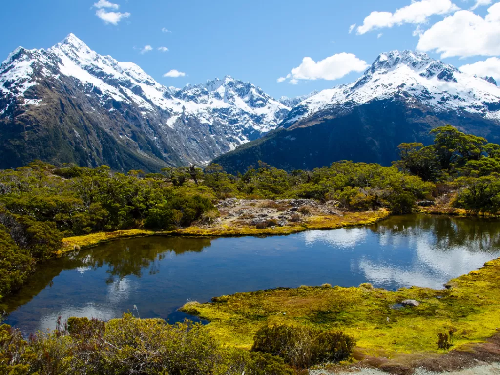 Destinasi wisata di Selandia Baru. (FREEPIK/wirestock)
