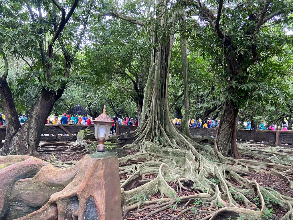 Pohon di tengah Sukosewu yang jadi napak tilas Pangeran Diponegoro. (Z Creators/Pramita Kusumaningrum)