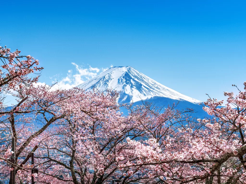 Ilustrasi pemandangan Gunung Fuji di Jepang. (Freepik)