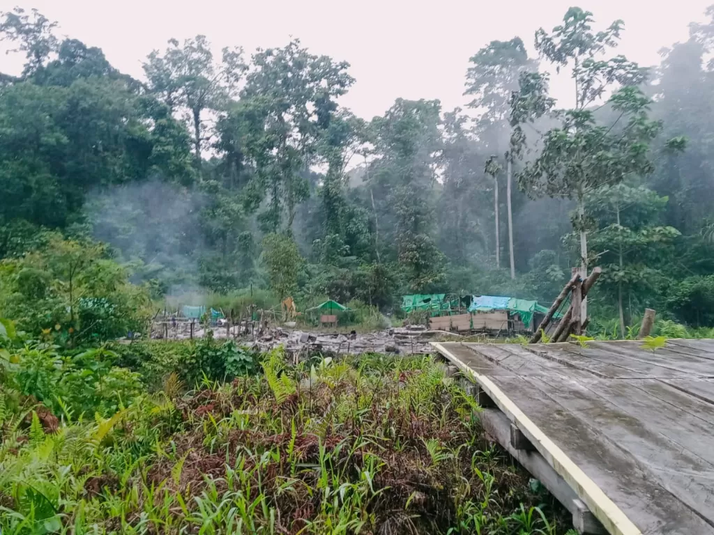 KKB membakar Camp Mining 81 di Pengunungan Bintang, Papua. (dok Polda Papua).