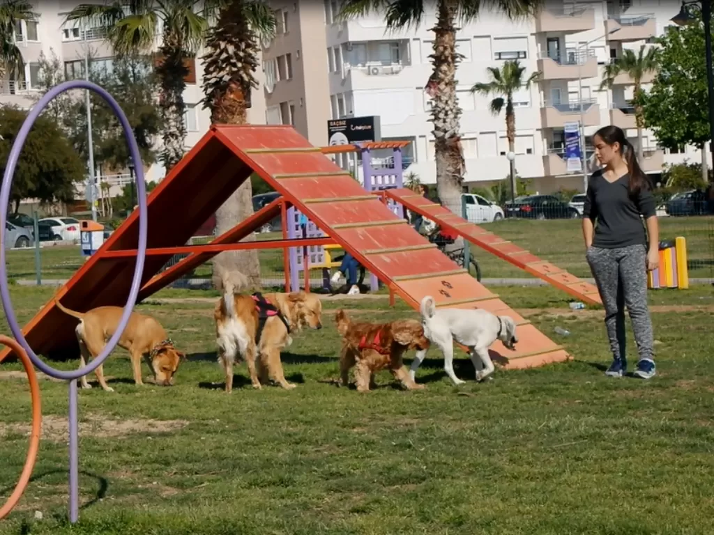 Persahabatan orang Turki dan anjing (Z Creators/Elisa Oktaviana)