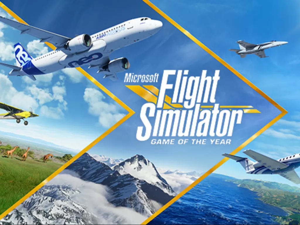 Microsoft Flight Simulator. (Microsoft)