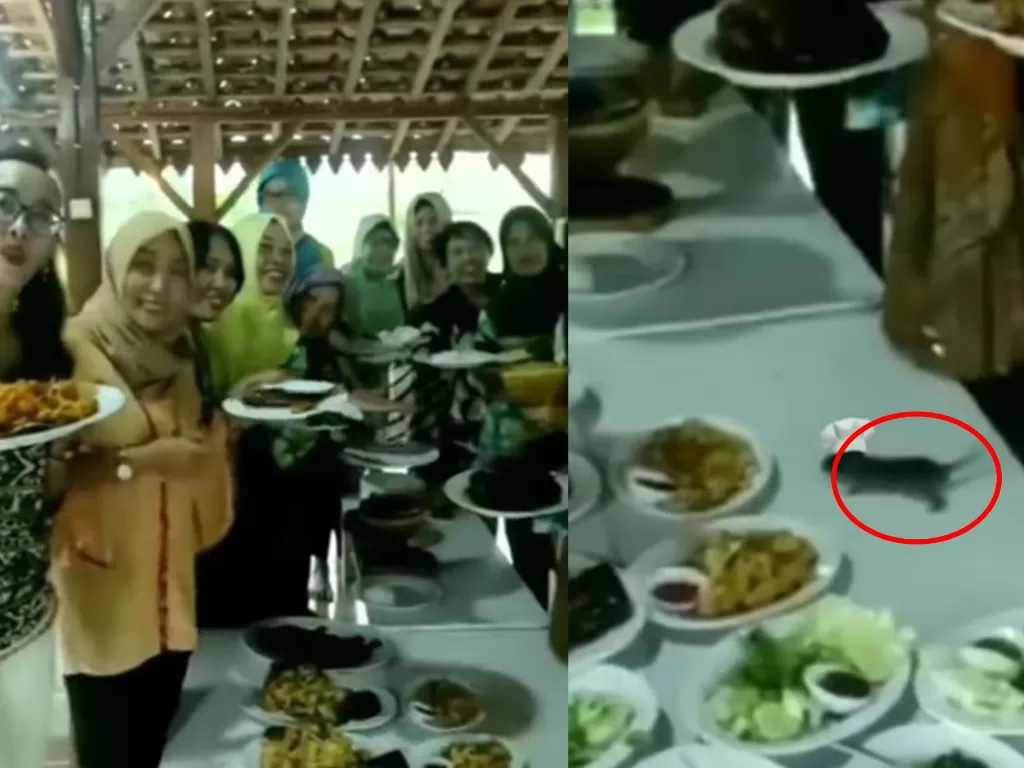 Tikus jatuh dari atap restoran saat emak-emak mau makan (Instagram/masakmasakvideooo)