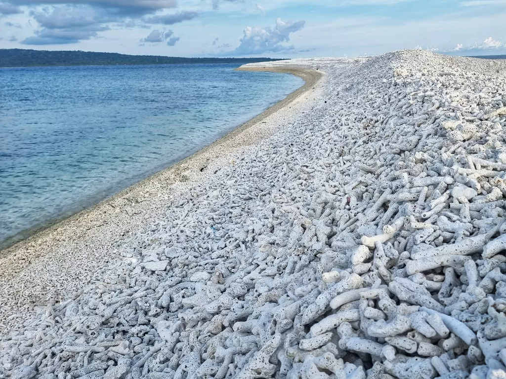 Pantai di Selayar punya karang putih. (Z Creators/Taufiq Hippy)