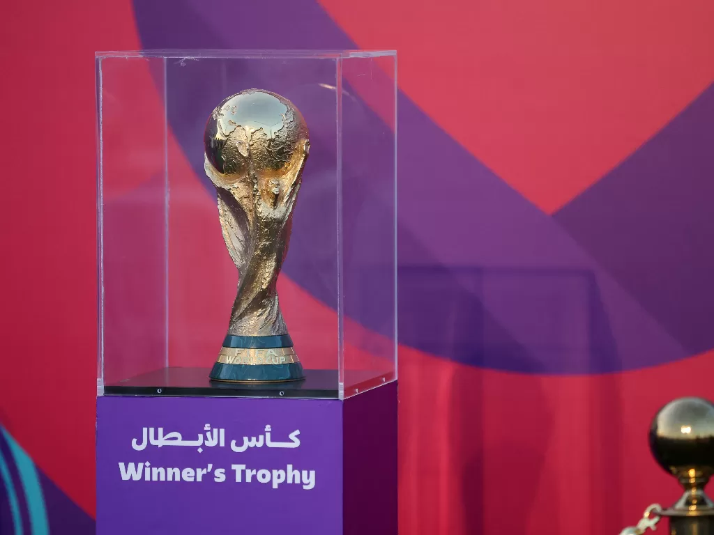 Trofi Piala Dunia. (REUTERS/Carl Recine)