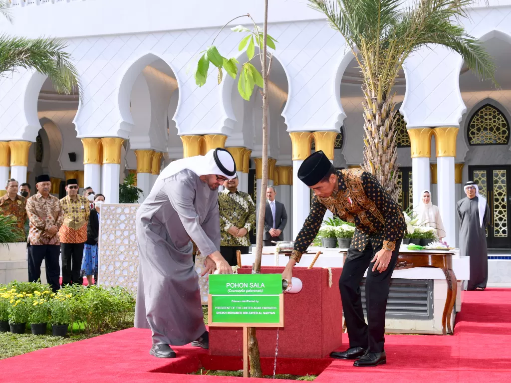 Presiden Jokowi dan Presiden UEA menanam pohon sala. (Dok. Biro Pers Istana)