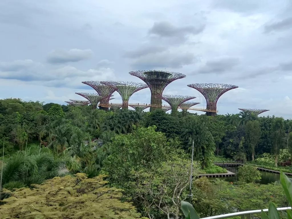 5 Rekomendasi Tempat Wisata Di Singapura Yang Gratis Cocok Buat Liburan Akhir Tahun Indozone