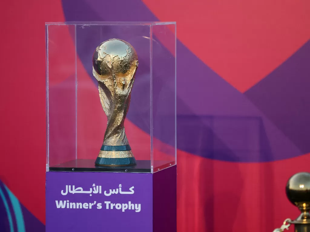 FIFA World Cup trophy. (REUTERS/Carl Recine).