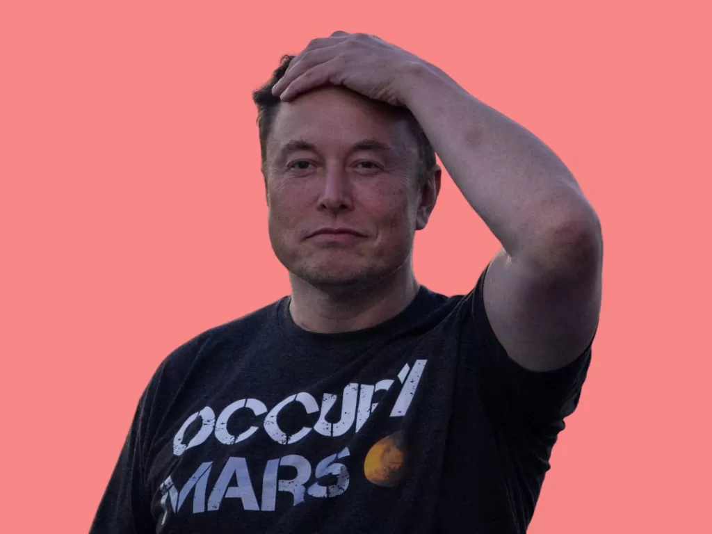 CEO Twitter Elon Musk. (REUTERS Adrees Latif)