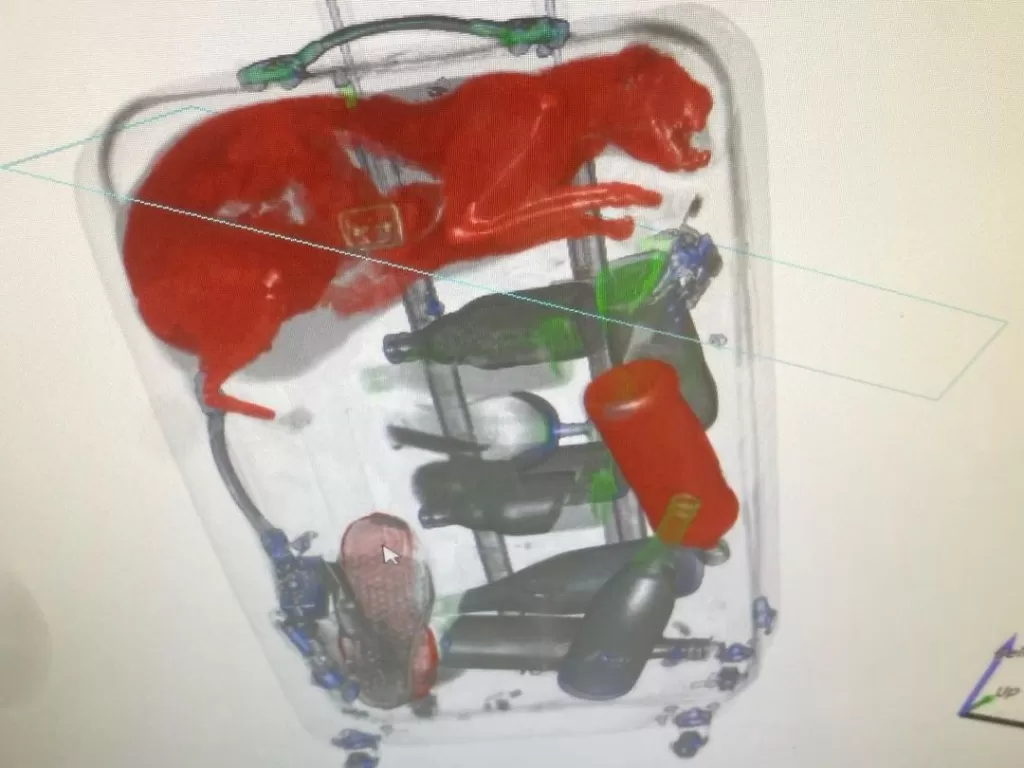 Pemeriksaan tas penumpang pesawat yang berisi kucing di dalam koper. (Instagram/tsa).