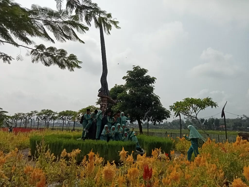 Nangkula Park yang penuh bunga celosia (Z Creators/Firman Imansyah)
