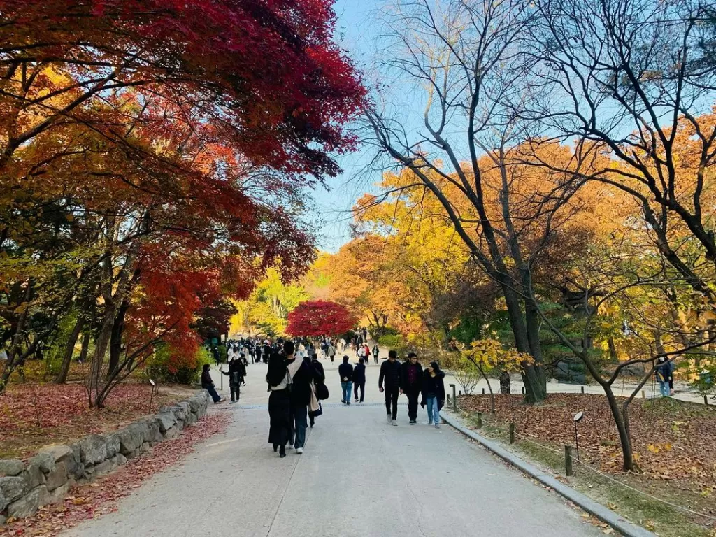 Musim gugur di Korea Selatan. (Z Creators/Neni Virginia)