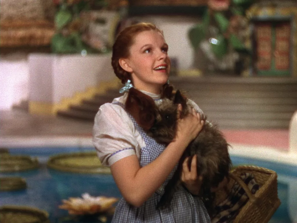 Potongan adegan dalam The Wizzard of Oz (IMDb)