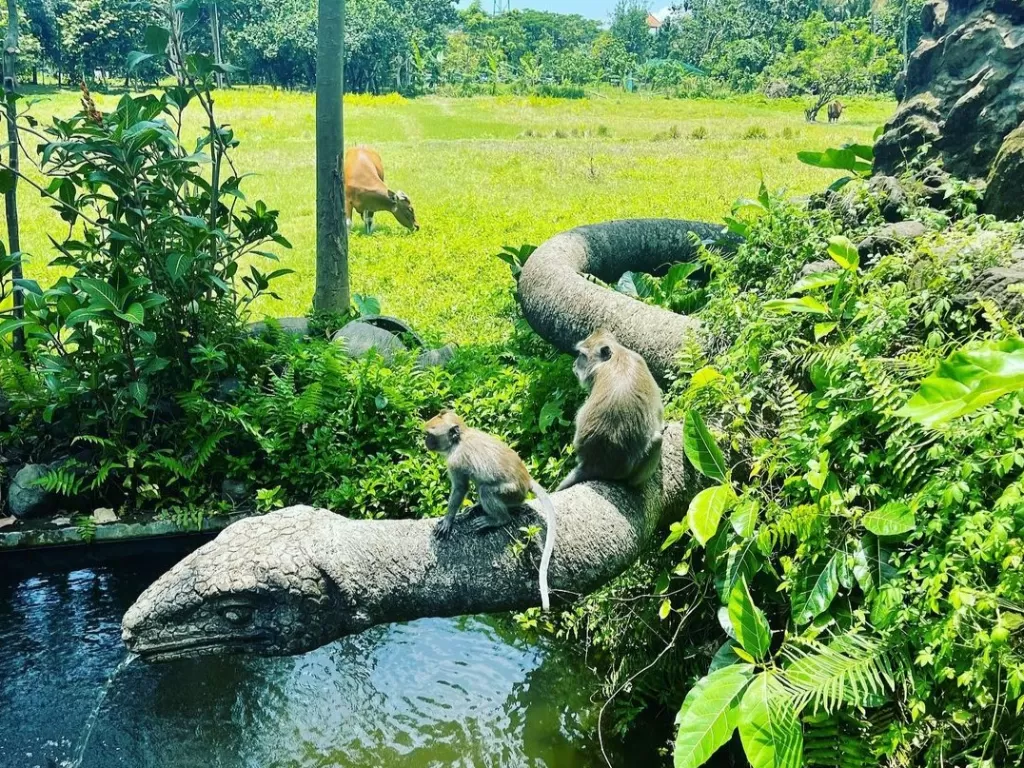 Monkey Forest Ubud. (Z Creators/Neni Virginia)