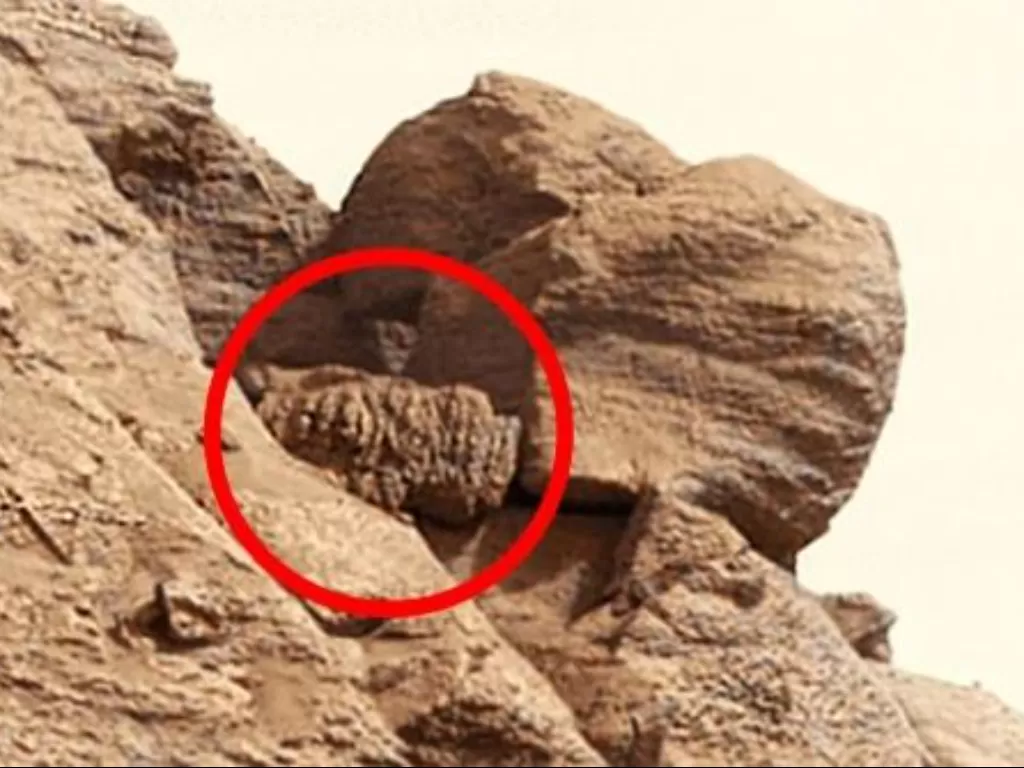 Batu yang disangka alien oleh teori konspirasi. (NASA PL-Caltech Metro)