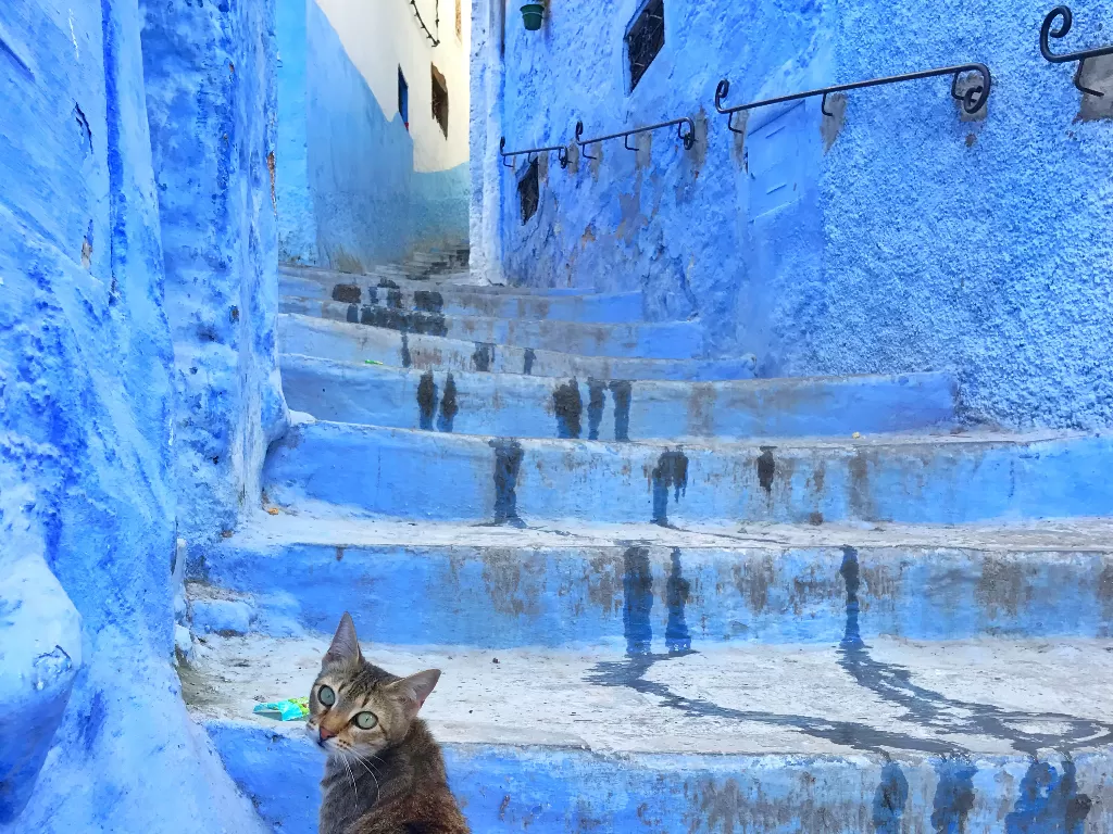 Kota serba biru di Maroko (Z Creators/Fabiola Lawalata)