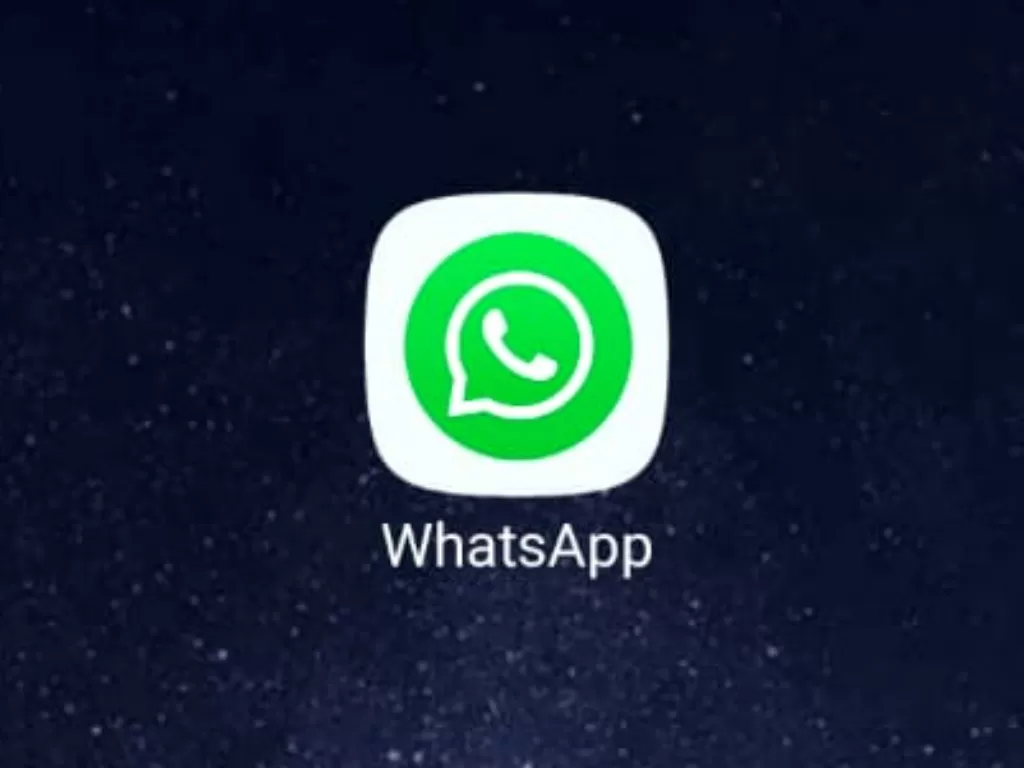 Tangkapan layar Aplikasi Whatsapp. (Z Creators/Tasya)