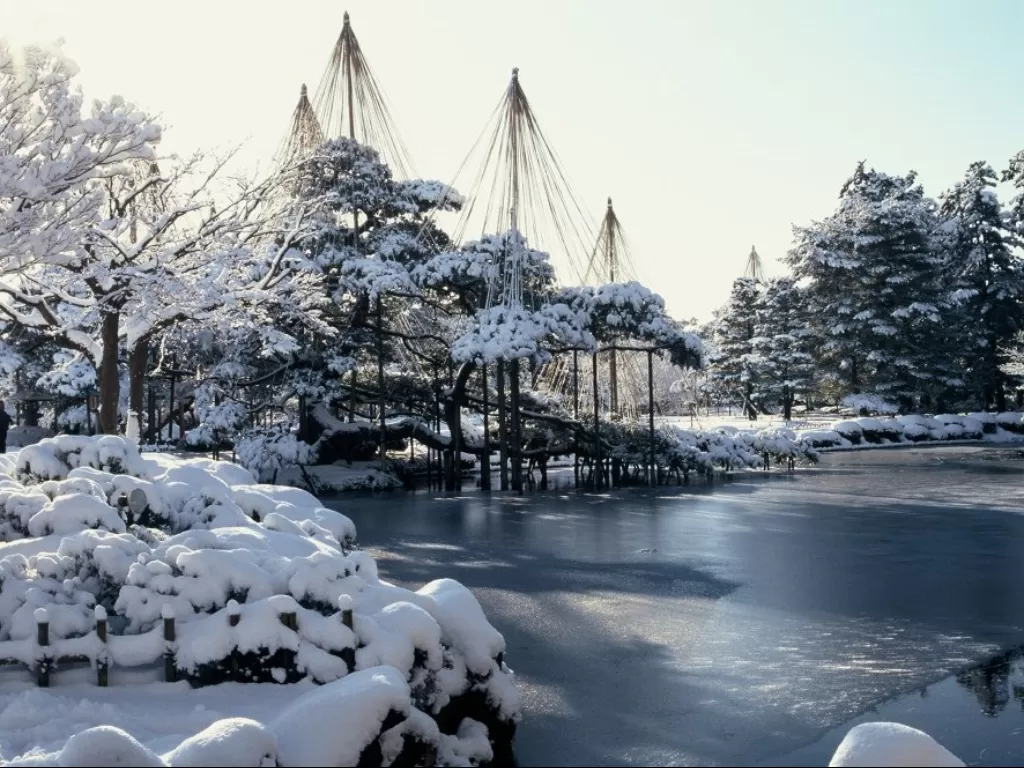 Taman Kenrokuen di musim salju. (Twitter/@GoldenRamaTours)