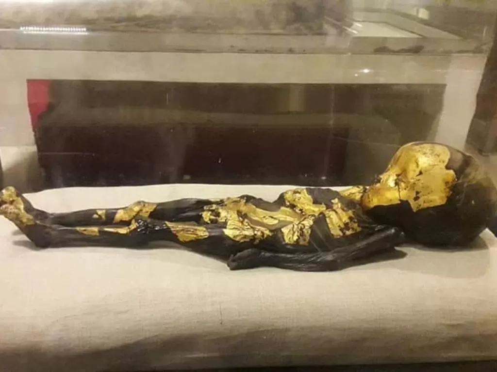 Mumi anak emas dipamerkan di Museum Mesir. (Facebook/Signature Tours Egypt)