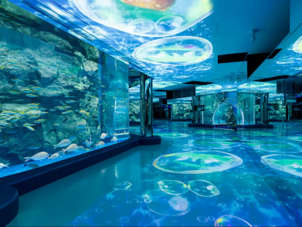 Tempat Wisata Jakarta Aquarium