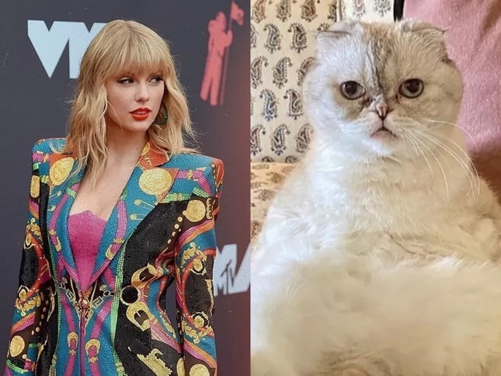 Taylor Swift dan kucingnya, Olivia Benson (Instagram/taylorswift)