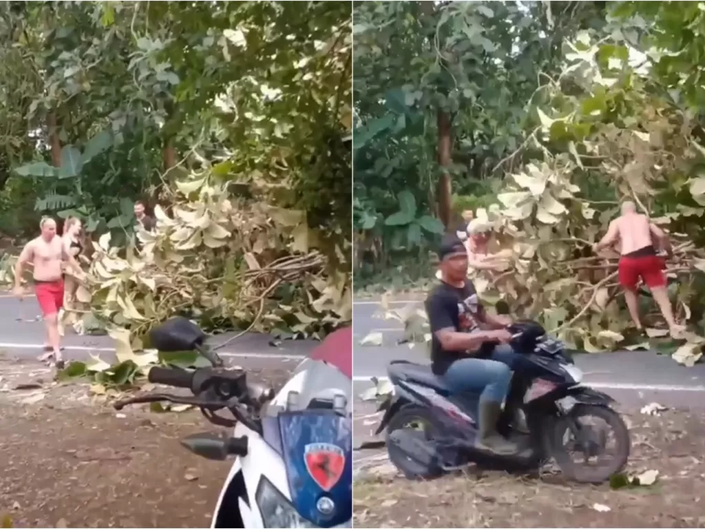 WNA pindahkan pohon tumbang di Bali. (Instagram/@infobadung)