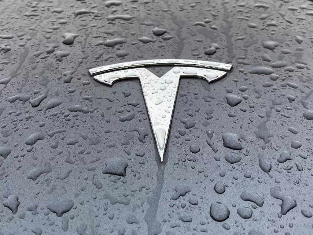 Logo Tesla. (REUTERS/Victoria Klesty)