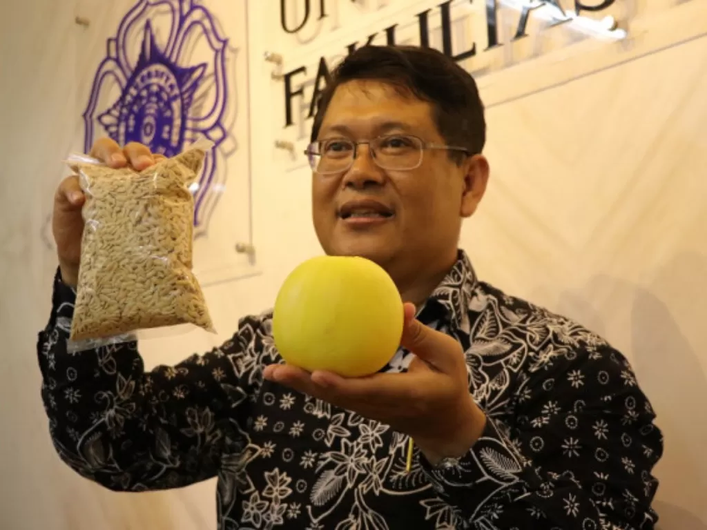 Prof Budi Setiadi Daryono saat memamerkan hasil temuannya, buah melon seukuran apel. (ugm.ac.id)