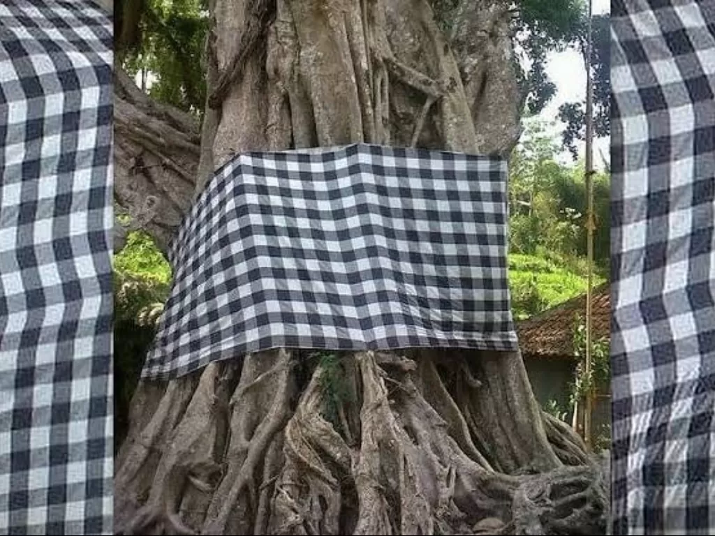Pohon besar di Bali yang diikat kain poleng (Instagram/me_nyulam)
