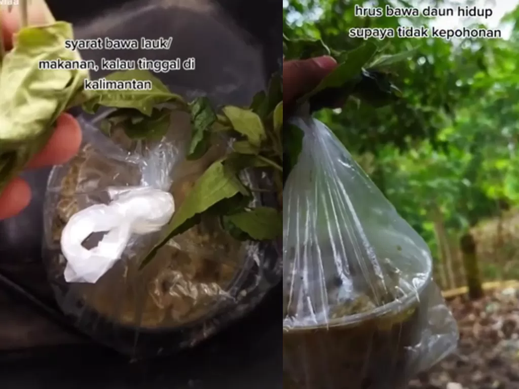 Bekal makanan yang diberi daun untuk menghindari kapuhunan di Kalimantan (TikTok/lovlaa)
