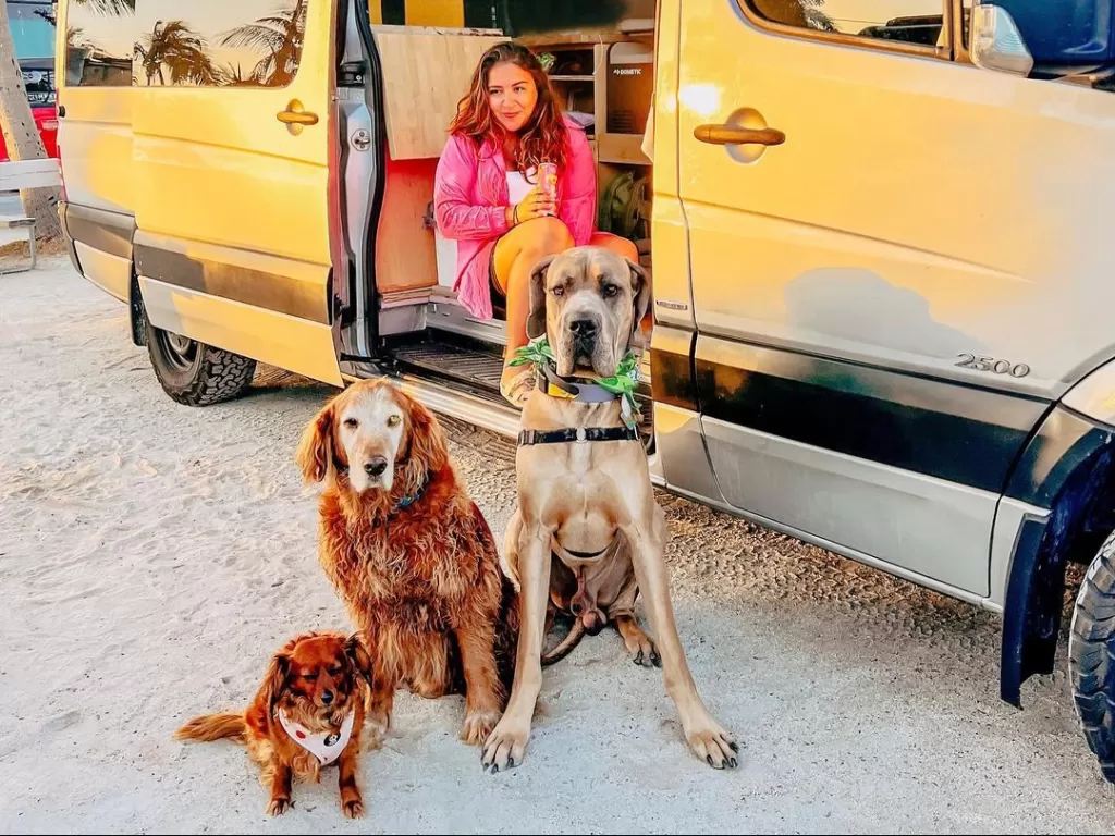 Melanie dan tiga anjingnya traveling (Instagram/meldemi_)