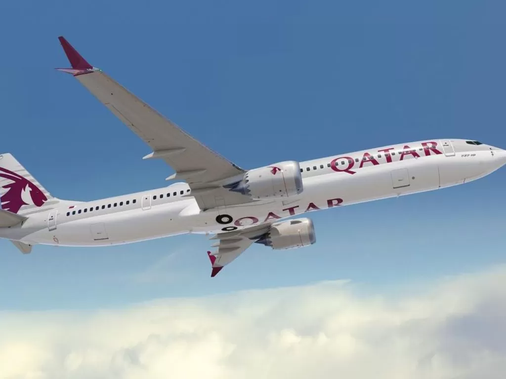 Qatar Airways (Instagram/qatarairways)